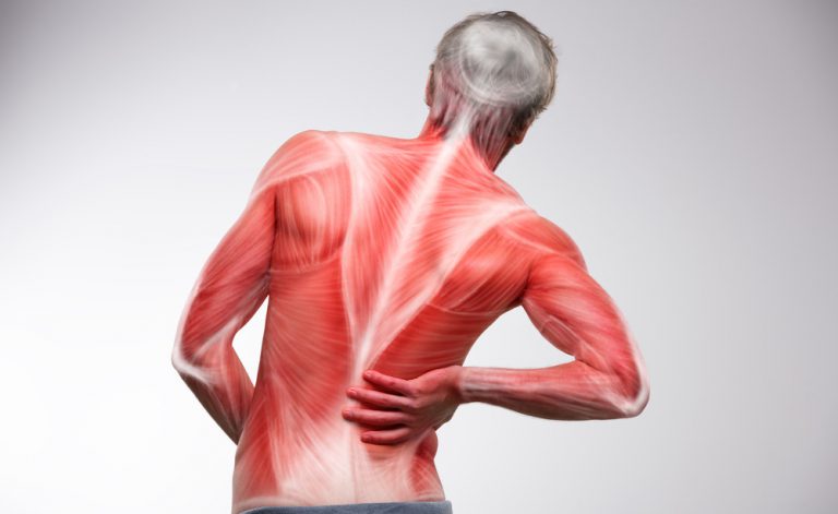 Como acalmar as dores musculares póstreino